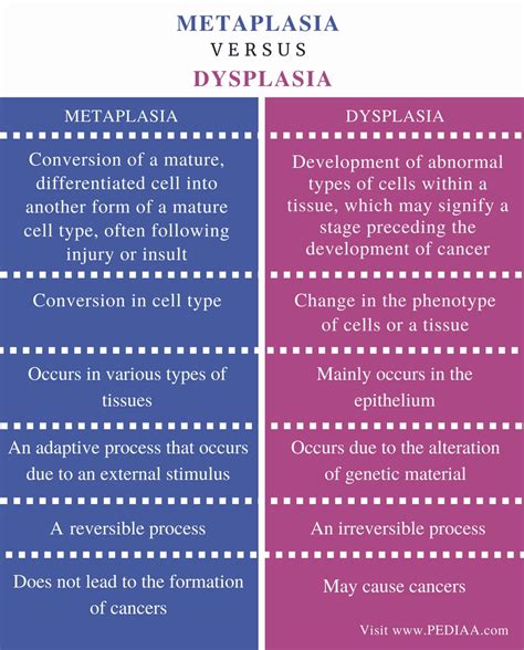 semnificație metaplazie vs displazie vs hiperplazie